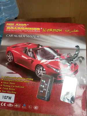 Car Alarm(1)