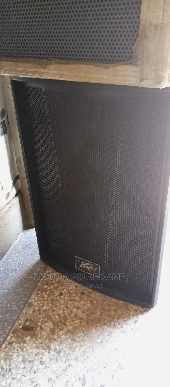 15" Inches Pevey Top Speaker
