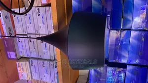 Big Pendant Lights