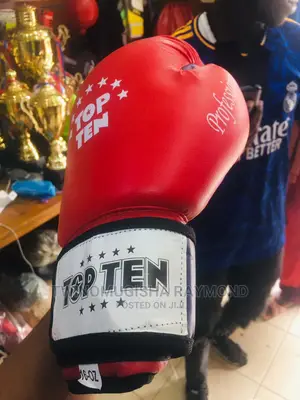 Top Ten Boxing Gloves
