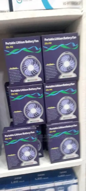 Potable Fans