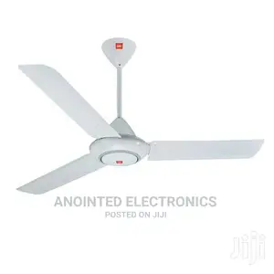 Ceiling Fans