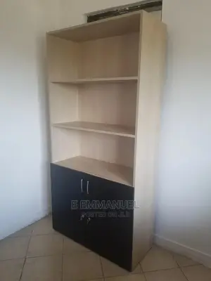Shelves/File Cabinets