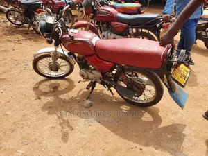 Bajaj Pulsar NS 200 2017 Brown