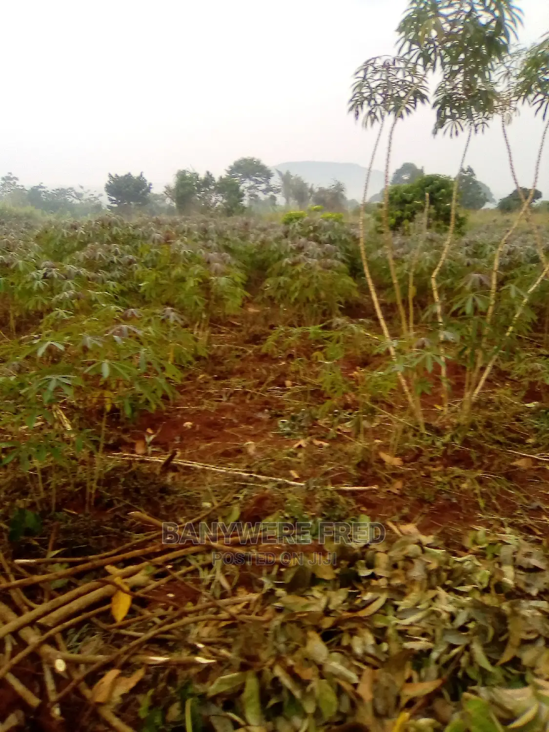 6acres of Farmland for Sale in Ngogwe