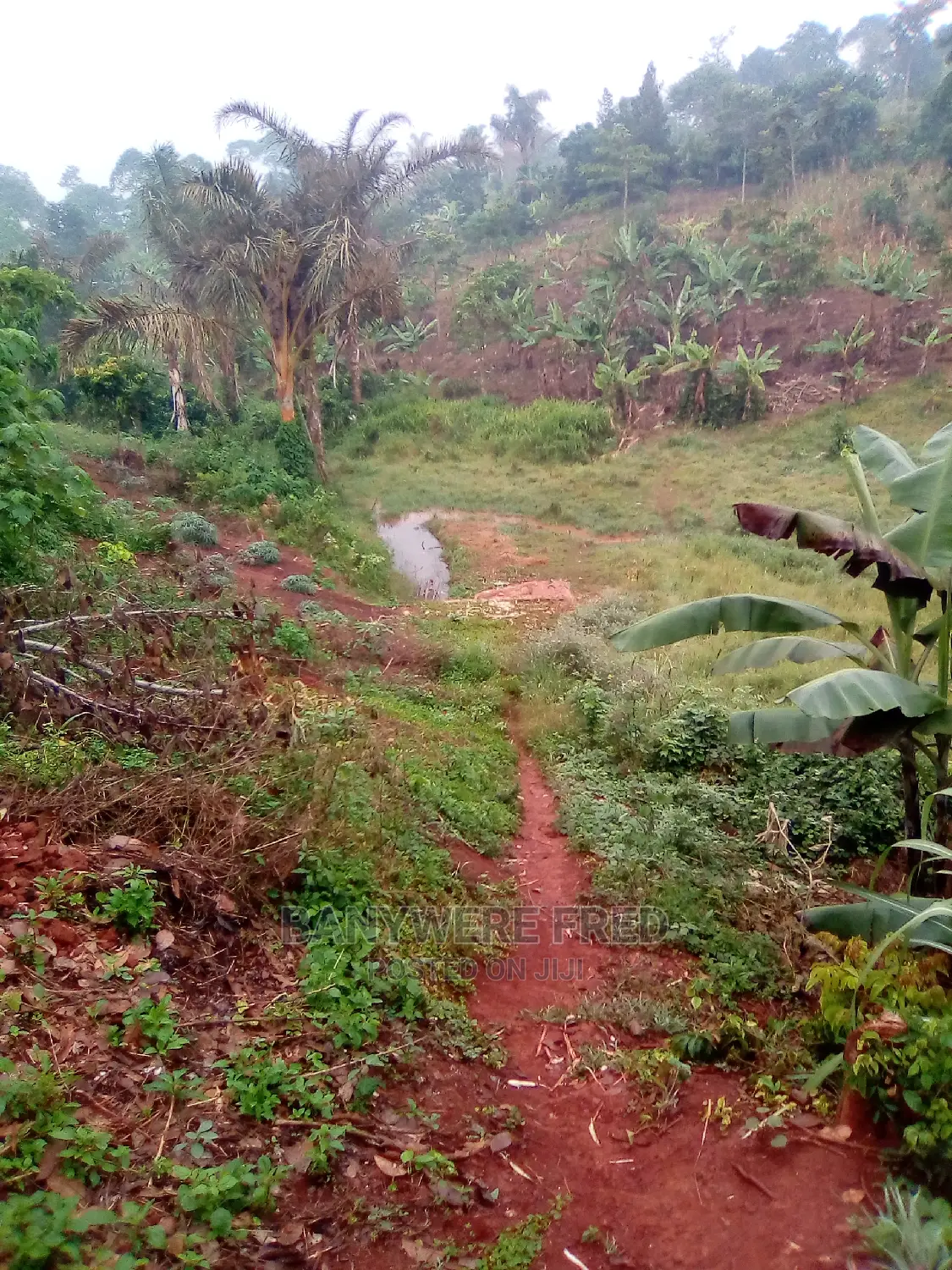 20acres of Farmland for Sale in Nkokojeru