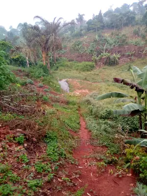 20acres of Farmland for Sale in Nkokojeru