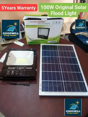 100w Original Solar Flood Light