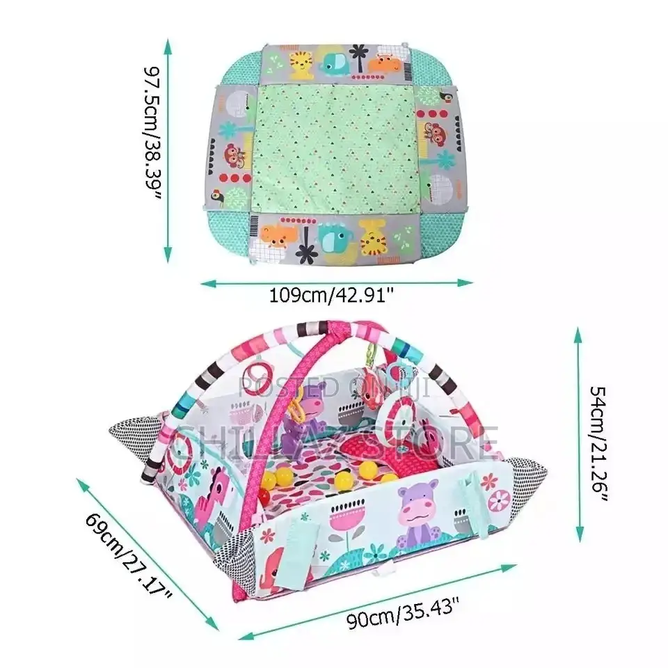 Baby Play Gym