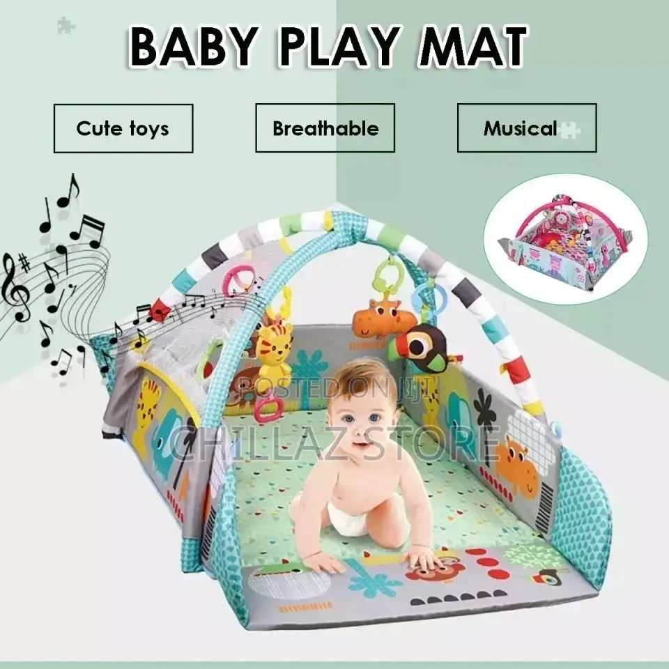 Baby Play Gym