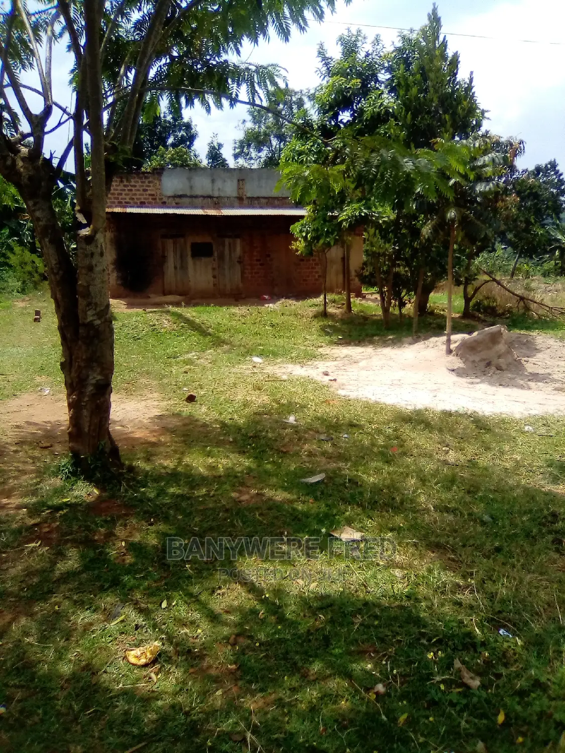30decemals for Sale in Jogo