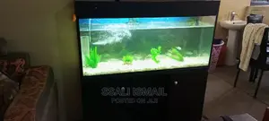 Beautoful With Crystal Clear Water