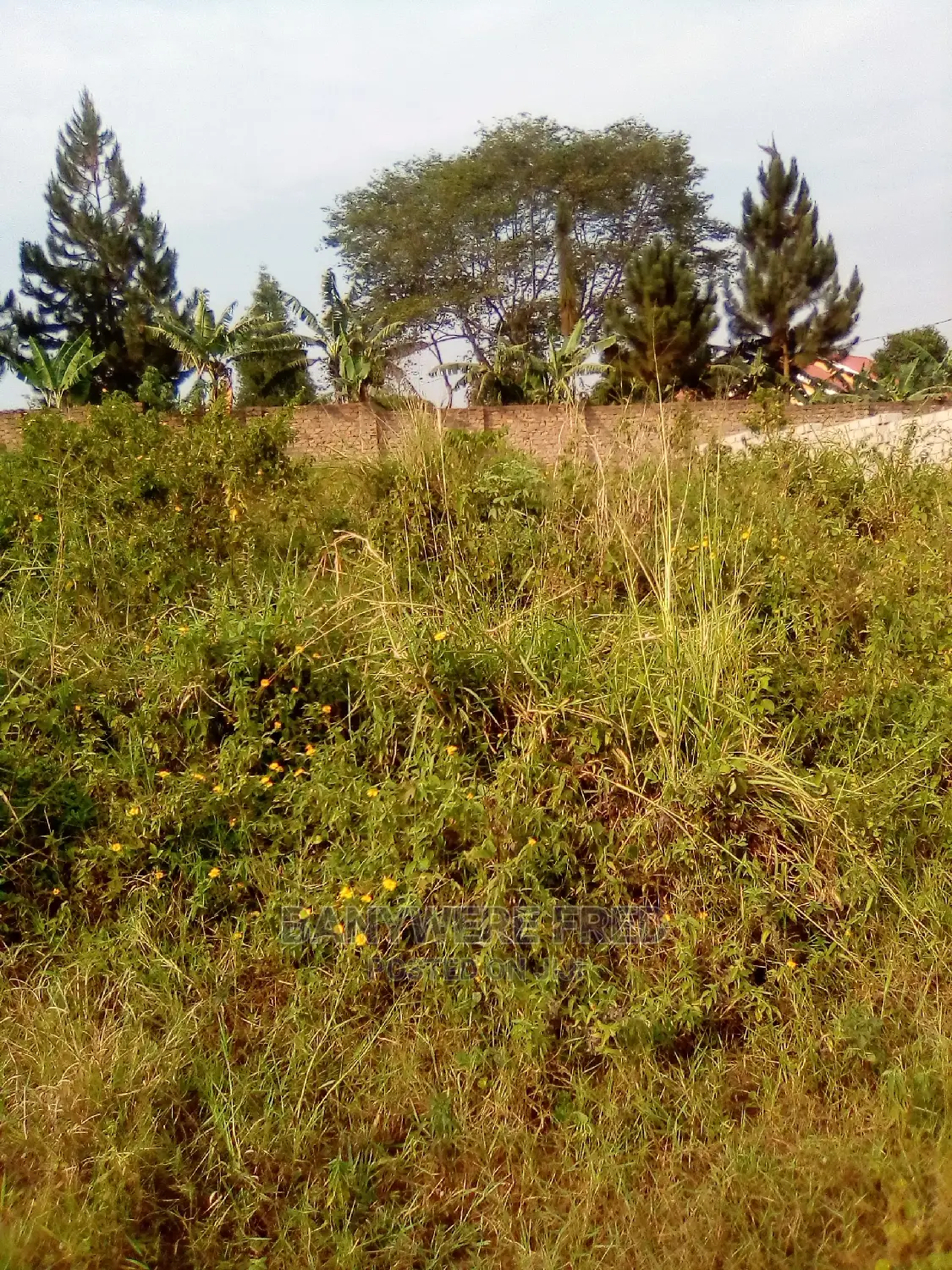 60/100 Plot for Sale in Namugongo