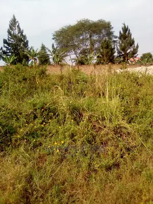 60/100 Plot for Sale in Namugongo