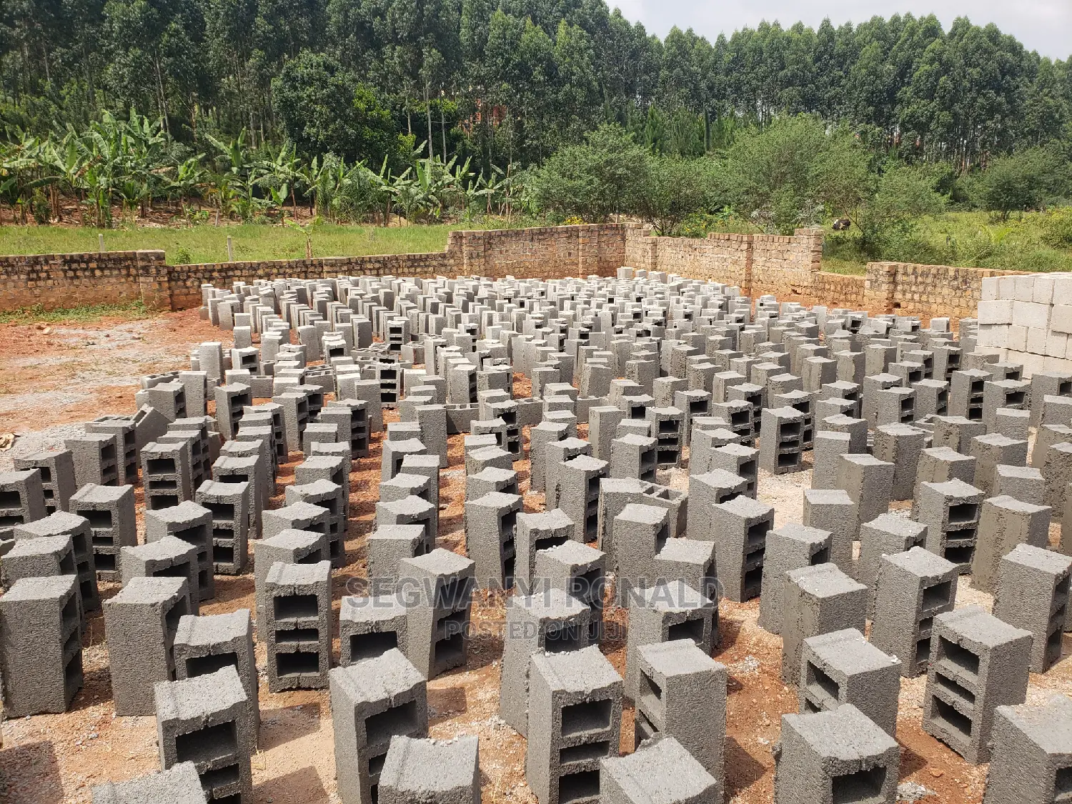 Hollow Blocks 8inch