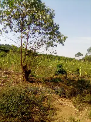 10acres of Farmland in Bamugolonde