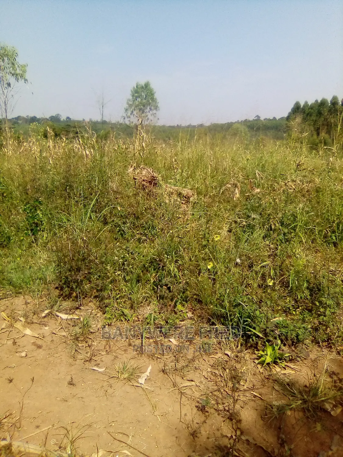 2acre of Farmland in Kasayi
