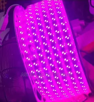 Pupple Strip Light
