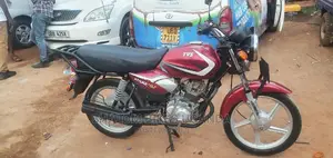 TVS Apache 160 4V 2021 Gray