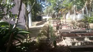 4bdrm Bungalow in Kololo Property, Central Division for Rent