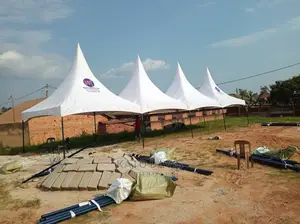 4 Peak Canopy Tent