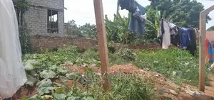 Very Affordable Plot on Quicksale in Heart of Buziga Heights
