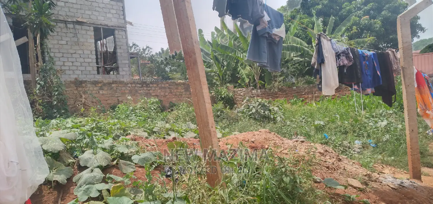 Very Affordable Plot on Quicksale in Heart of Buziga Heights