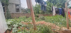 Very Affordable Plot on Quicksale in Heart of Buziga Heights