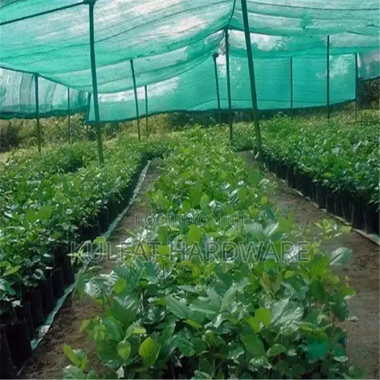 Protective Safety Net