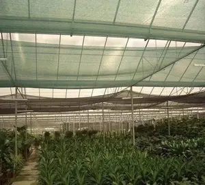 Protective Safety Net