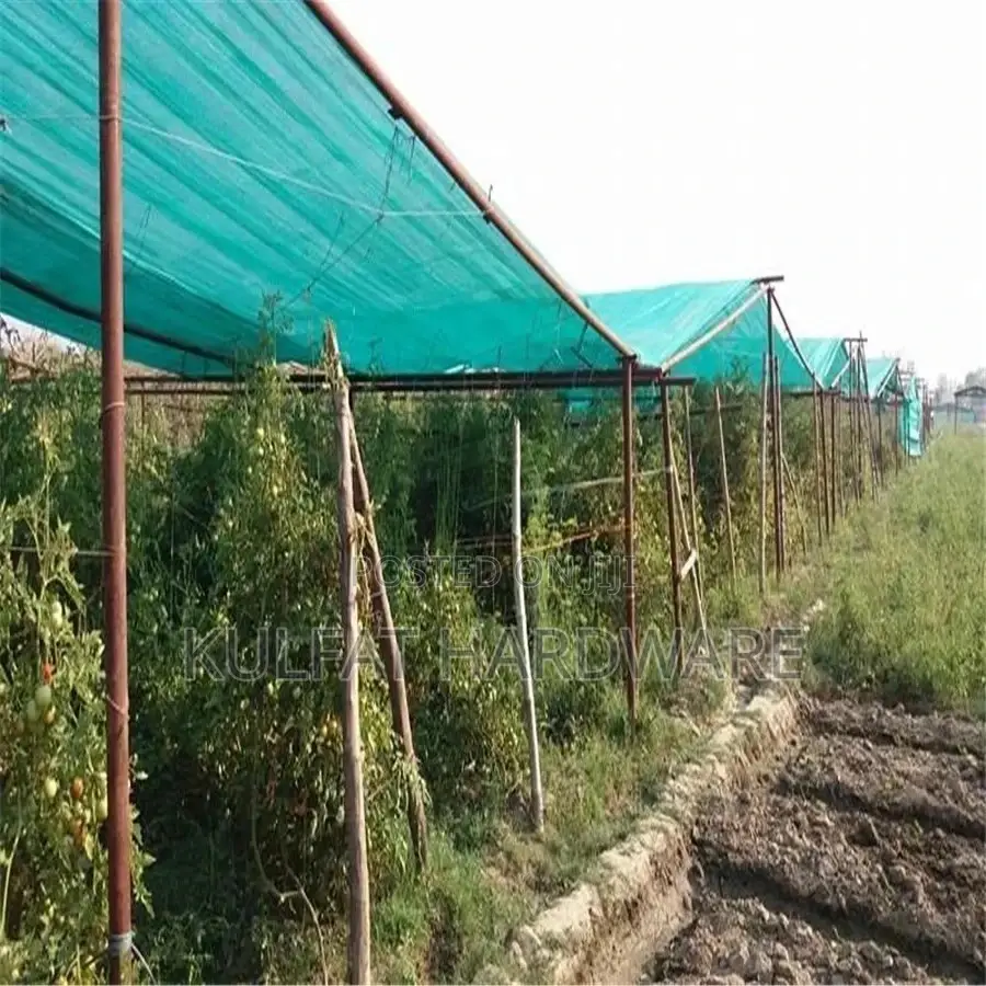Protective Safety Net