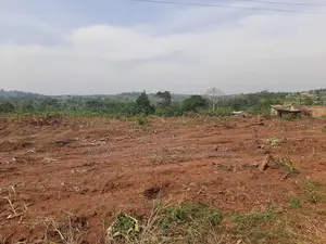 Plot for Sell in Matuga Kavule With Already Tittle