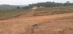Kitende Ntebe Rd Prime Estate Ready Private Title on Table