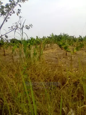 10 Acres of Farmland for Sale in Kamila