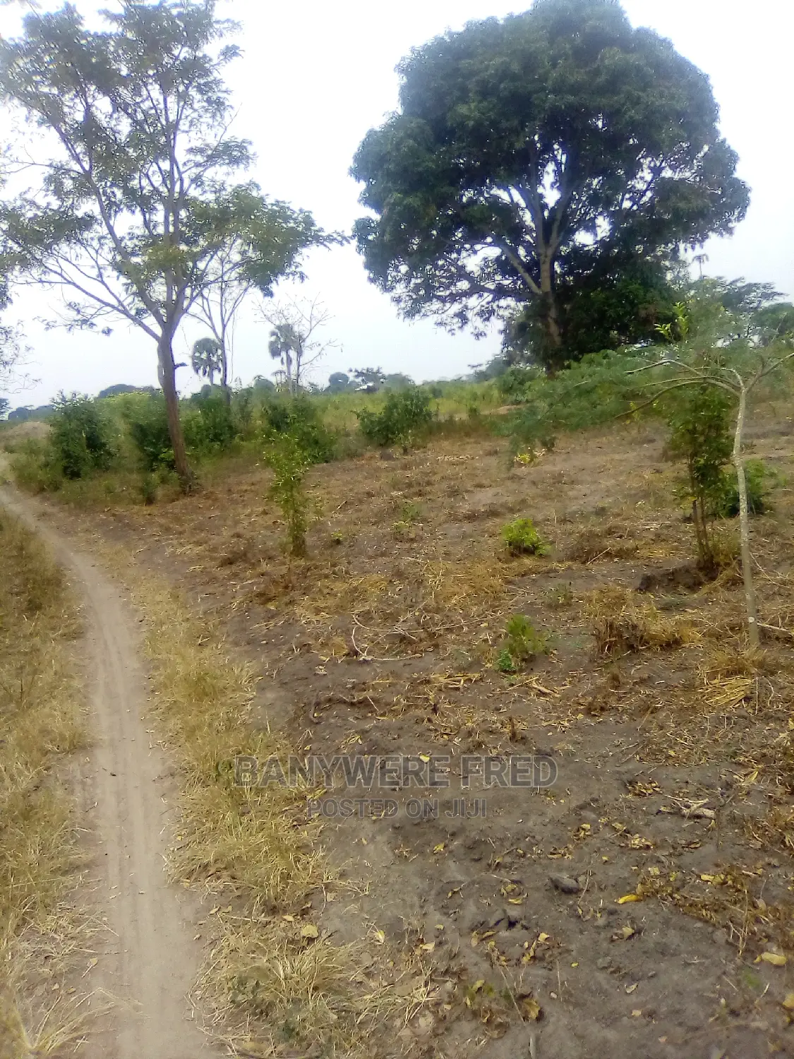 20acres of Farmland for Sale in Katale Kake
