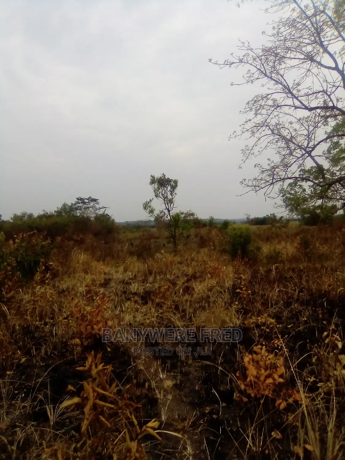 2acres of Farmland on Sale I Wabitugulu