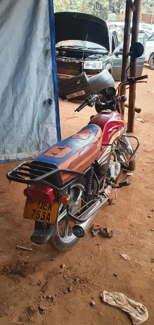 TVS Zeppelin 220 2018 Brown