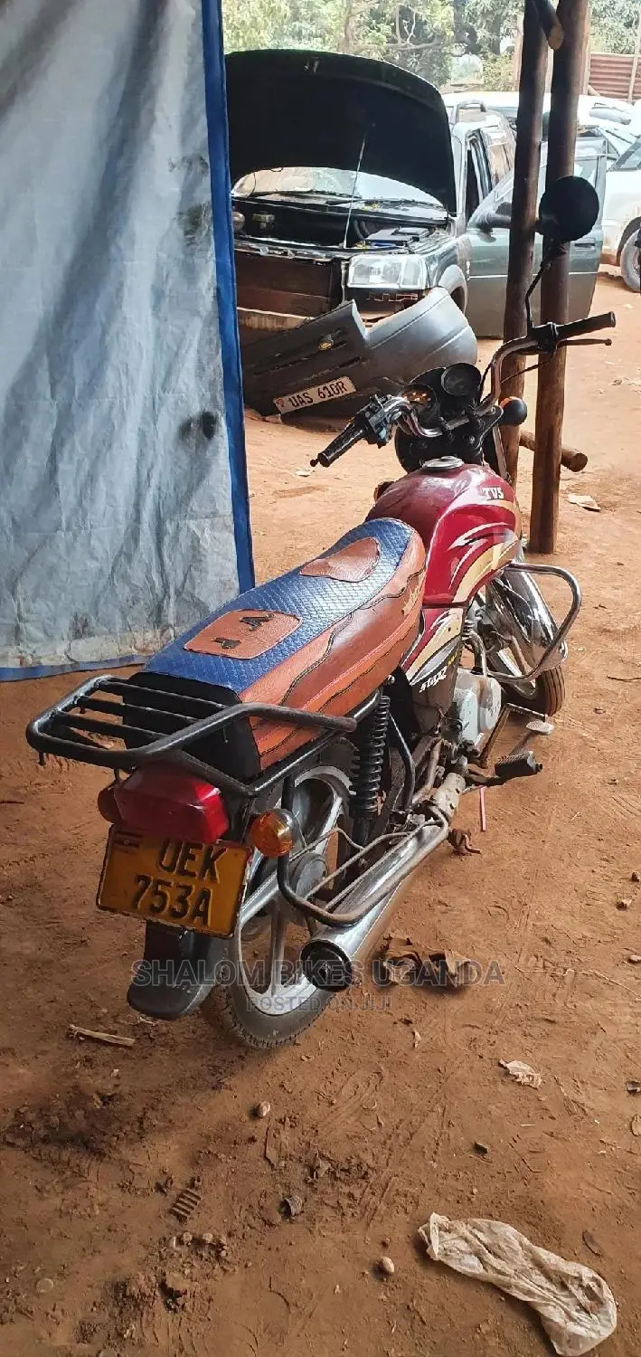 TVS Zeppelin 220 2018 Brown