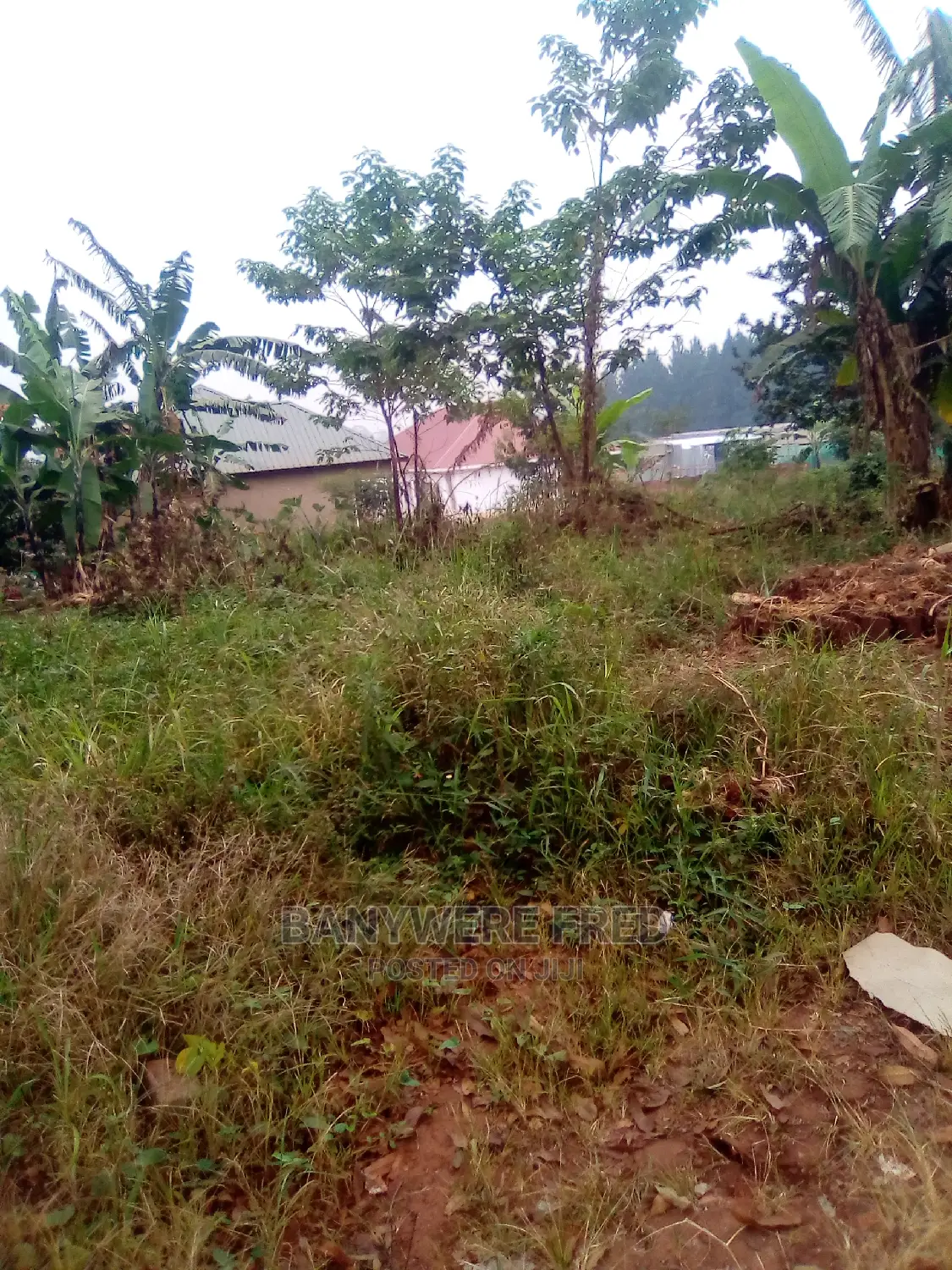 70/100 Plot for Sale in Buto