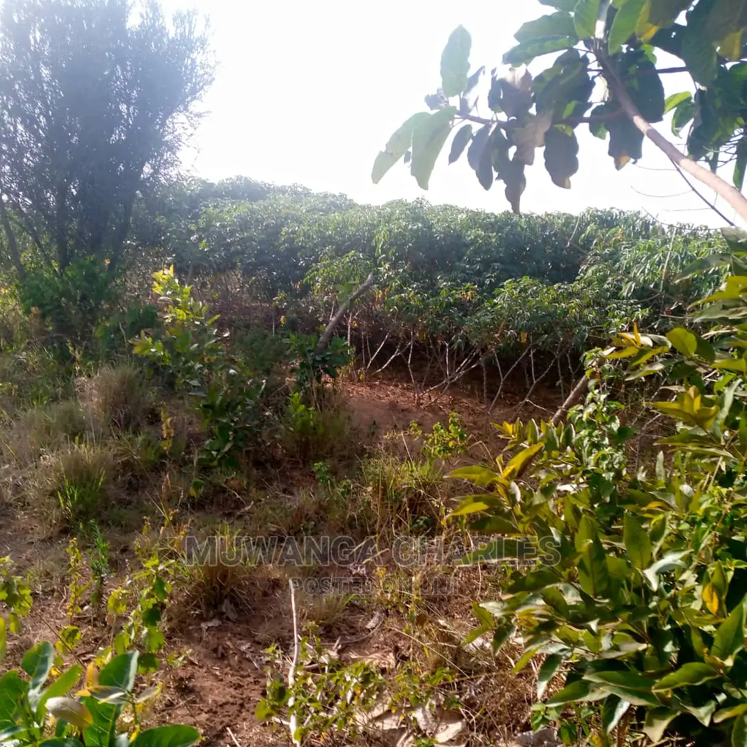 Land for Sale in Kikyusa