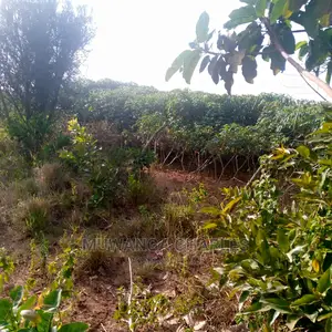 Land for Sale in Kikyusa