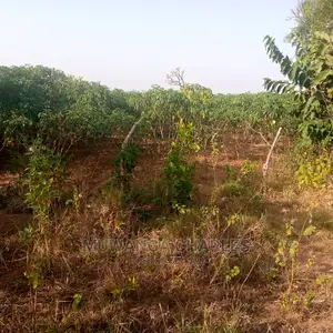 Land for Sale in Kikyusa