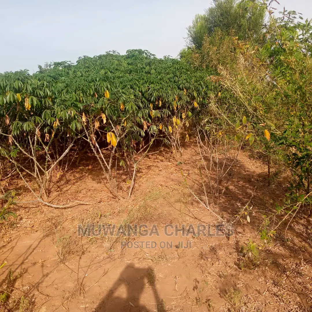 Land for Sale in Kikyusa