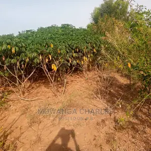 Land for Sale in Kikyusa