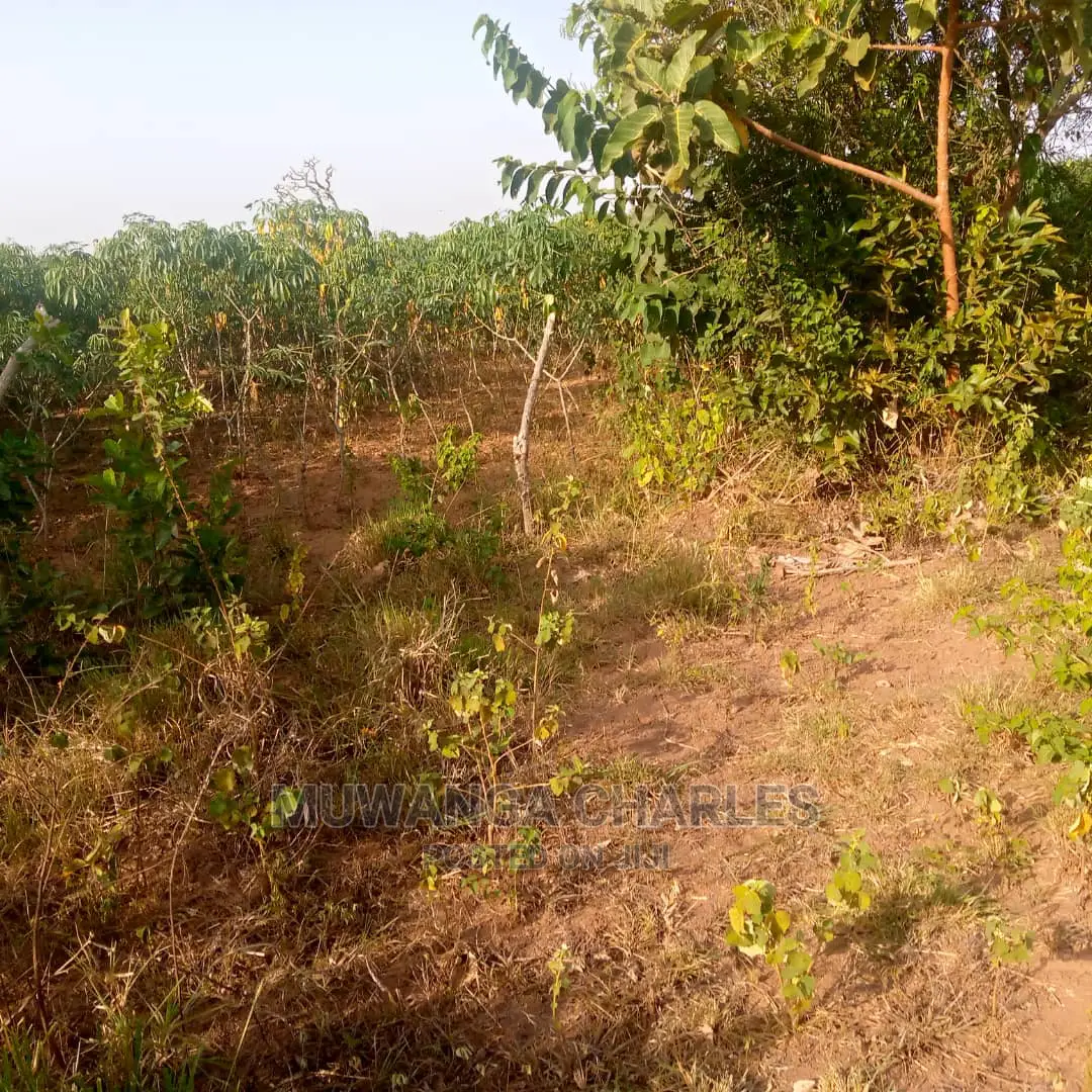 Land for Sale in Kikyusa
