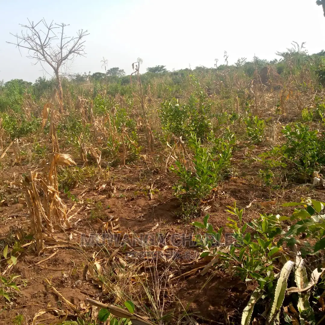 Land for Sale in Kikyusa