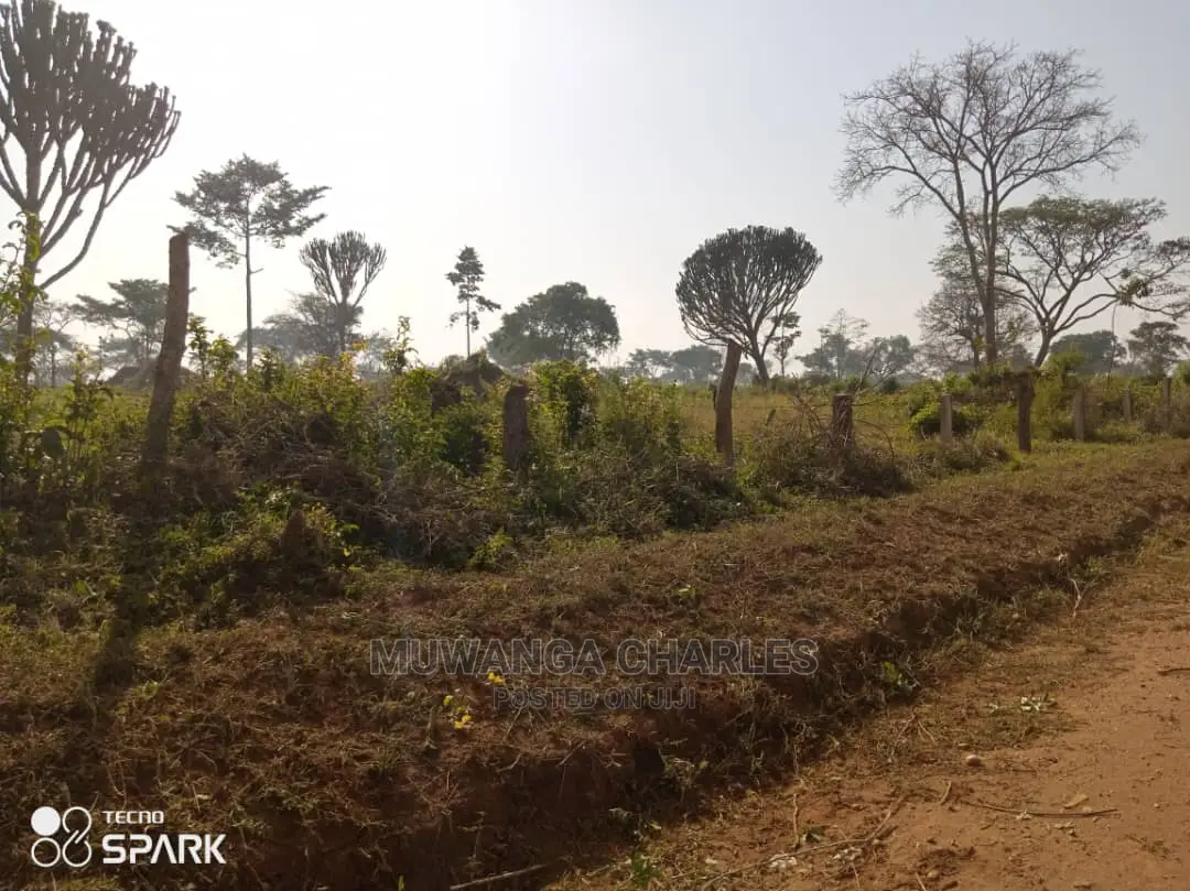 Land for Sale in Kabunyata