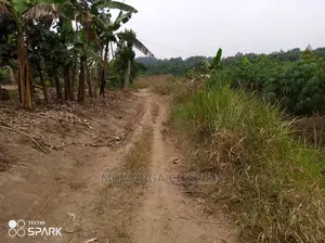 Plot's for Sale in Buwate