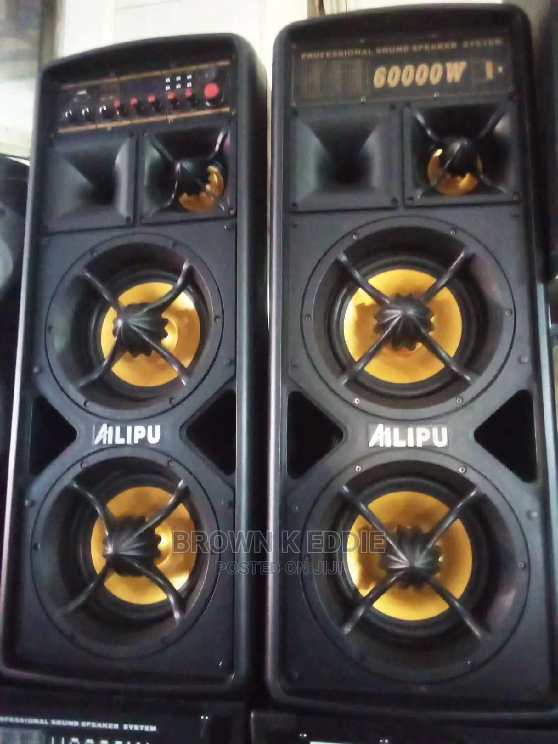 Alipu Double Amplified Speakers