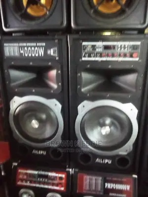 Alipu 9031 Double Speakers